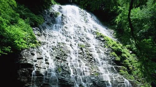 高效独特高精度